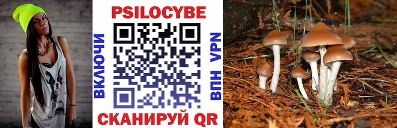 Галлюциногенные грибы Magic Shrooms  MEGA ссылка  Стрежевой 